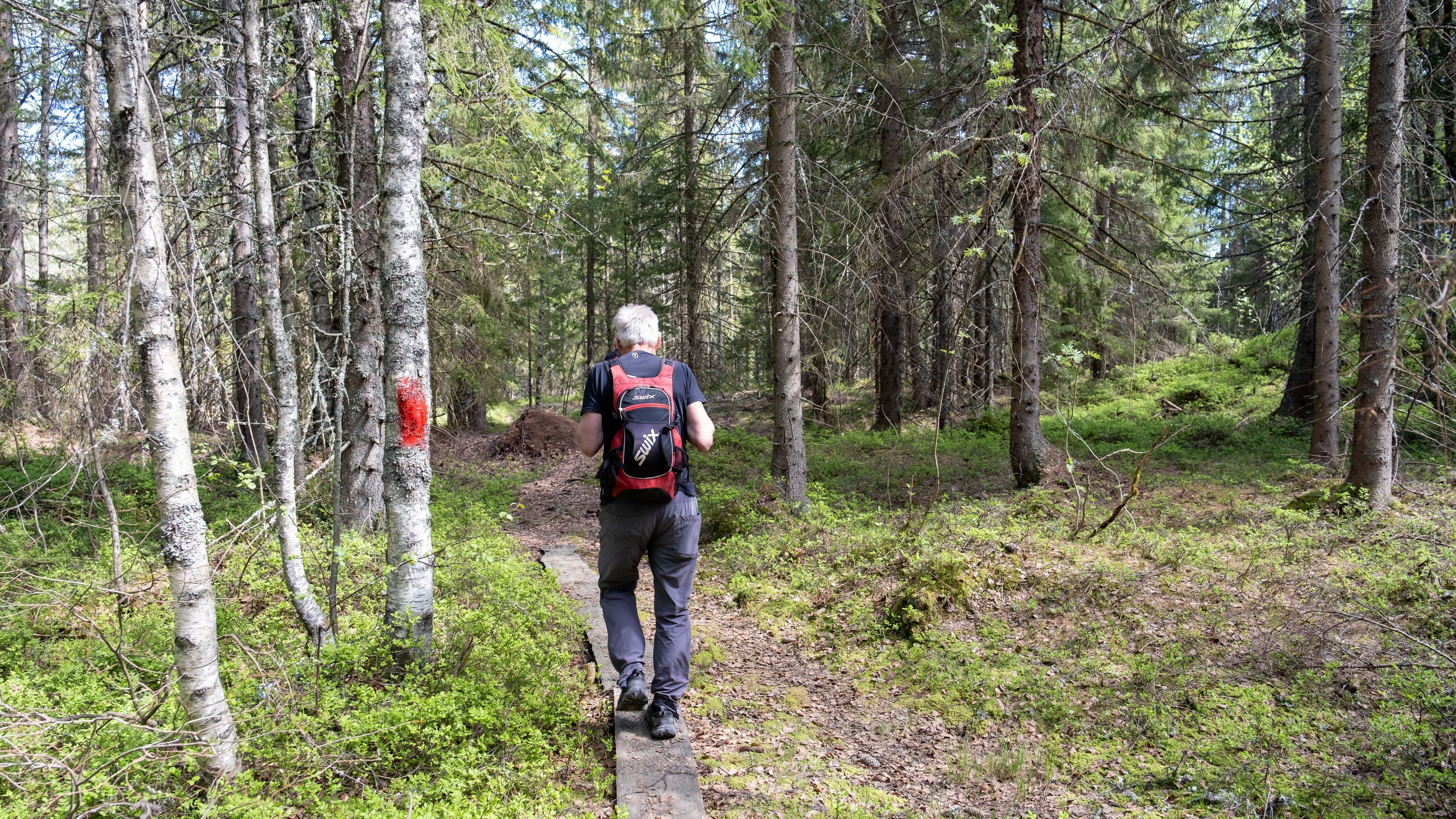 Bilde som illustrerer artikkel